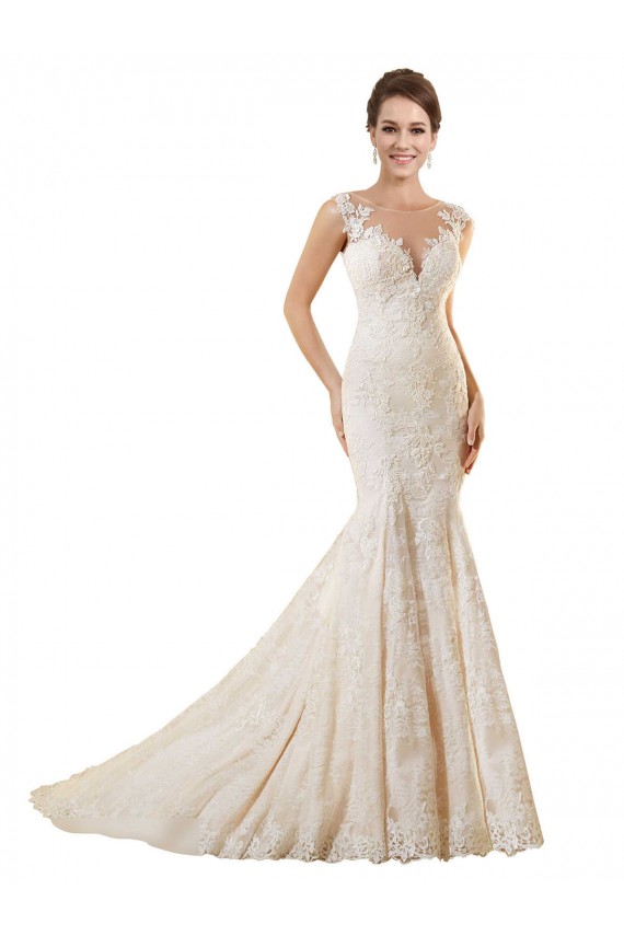 Online Marfil & Champán Sirena Ilusión Cola capilla Encaje Vestidos de novia